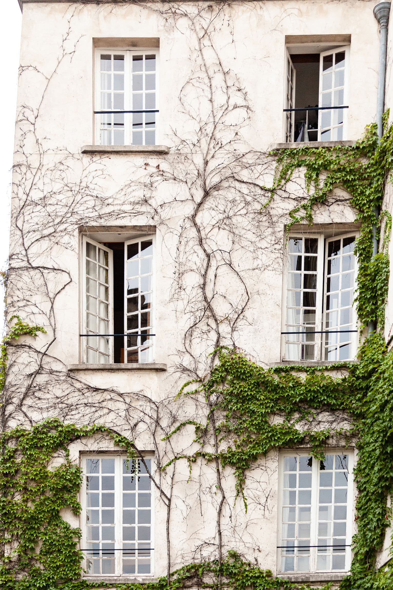 Serene Life Way holistic wellness inspiration