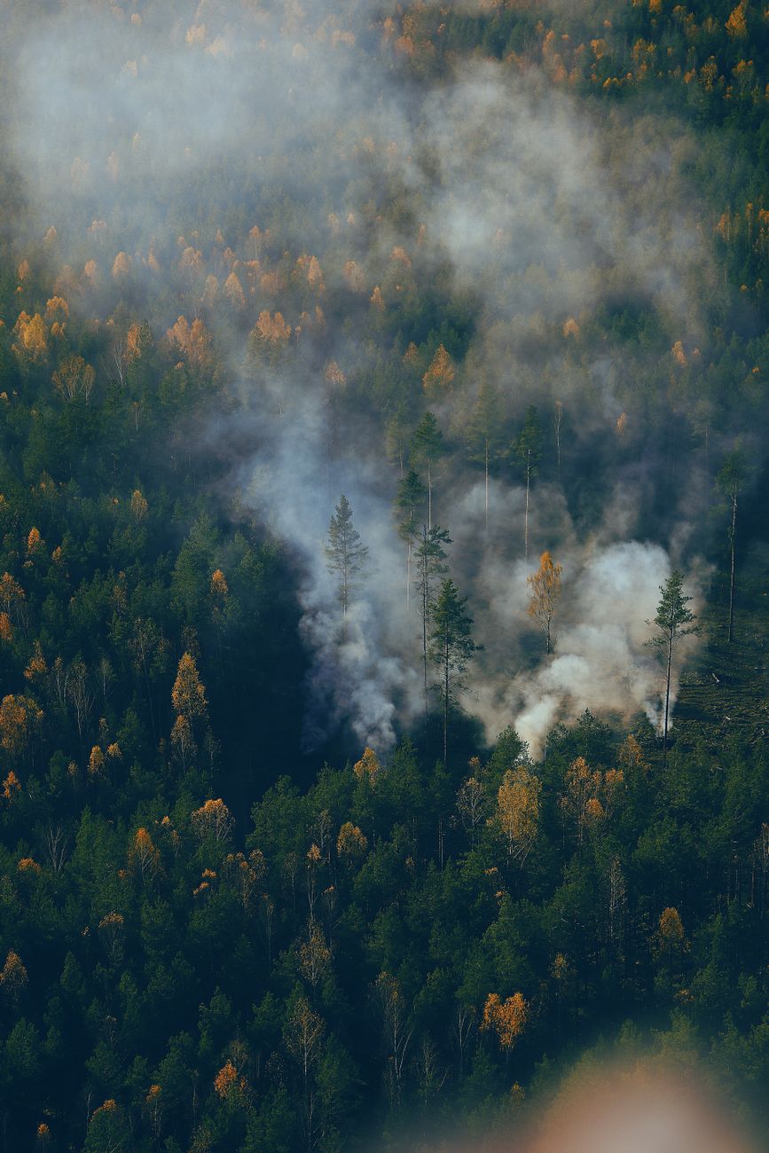Living in Fire Season