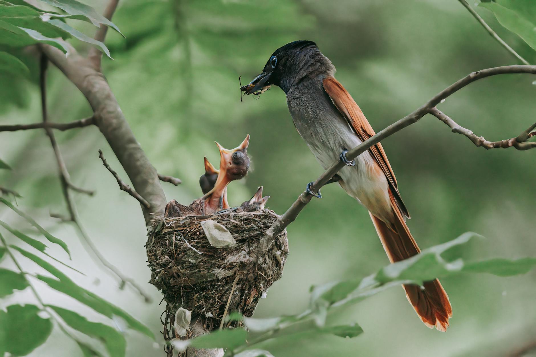 The Purpose of Parenting
