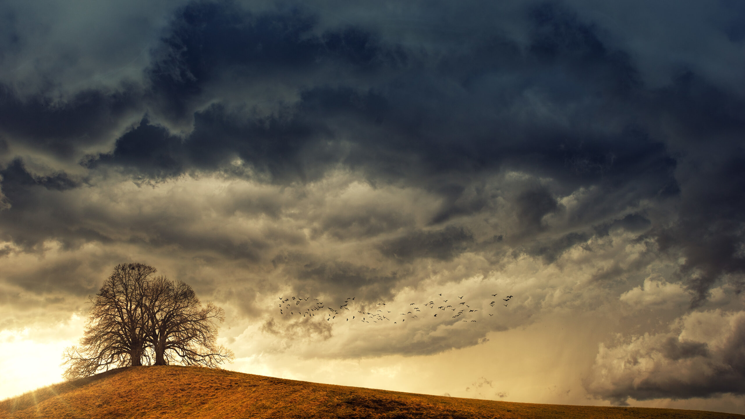 The Storm Doesn’t Ask Permission