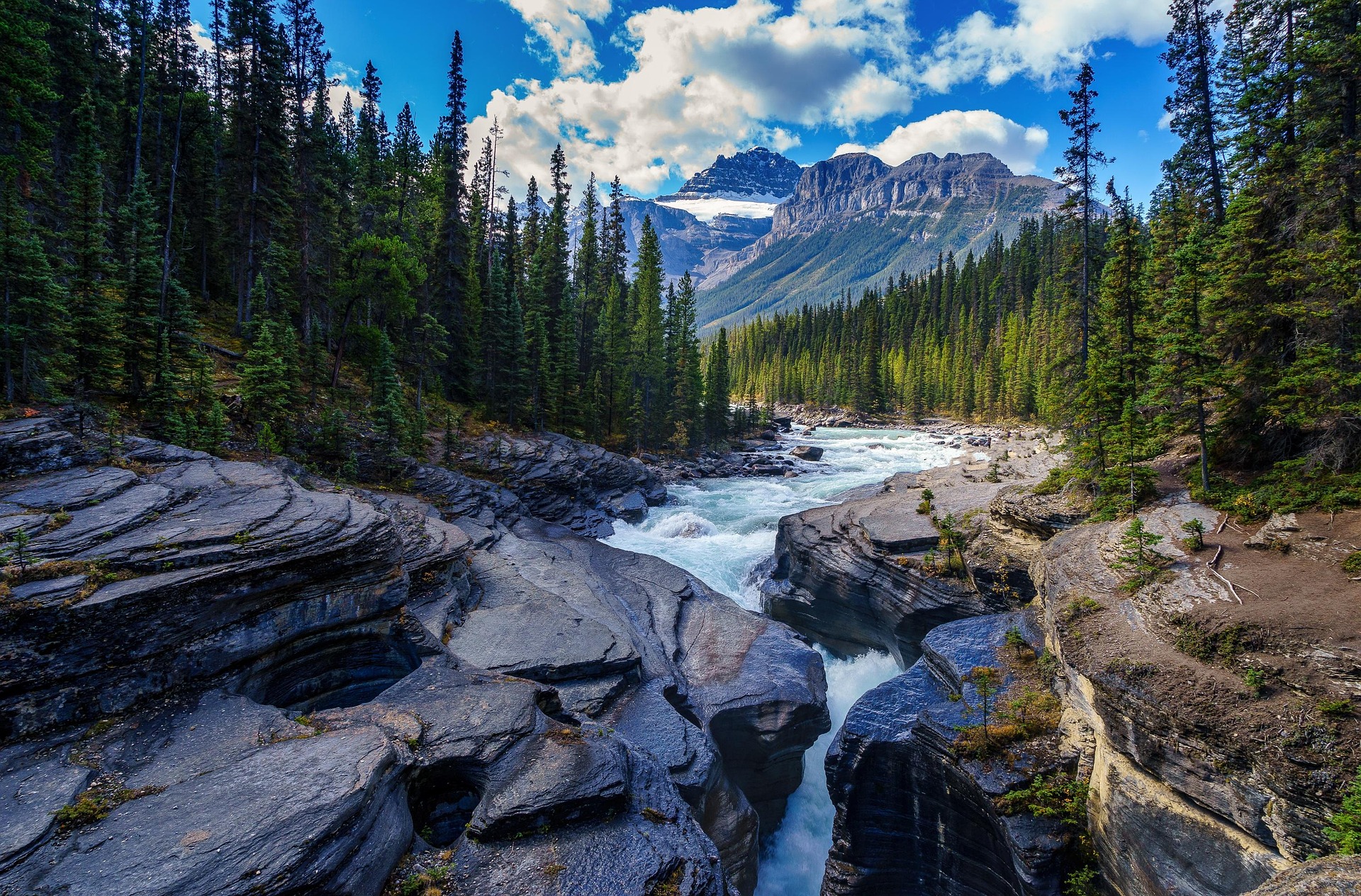 The River Only Flows One Way